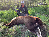 guided black bear hunts wyoming, outfitters cody wy, bear hunting wyoming