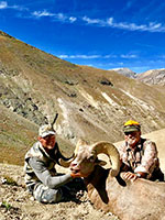 guided big horn sheep hunts, guided sheep hunting wyoming, outfitters wyoming, sheep hunts, ram hunts, hunting big horn sheep rams wy