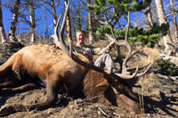 guided elk hunts, wyoming elk hunts, guided wyoming hunts, elk hunting wyoming, bull elk hunts, cow elk hunts, guided bull elk hunts, cody wy