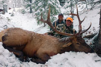 guided elk hunts, wyoming elk hunts, guided wyoming hunts, elk hunting wyoming, bull elk hunts, cow elk hunts, guided bull elk hunts, cody wy