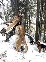 guided mountain lion hunts in Wyoming, lion hunting wyoming, mountain lions hunts wyoming
