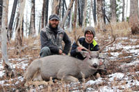guided mule deer hunts wyoming, mule deer hunts, guided hunts wyoming, mule deer hunting